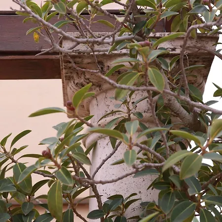 Casa Romana Boutique Seville